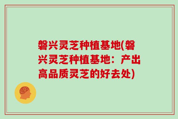 磐兴灵芝种植基地(磐兴灵芝种植基地：产出高品质灵芝的好去处)
