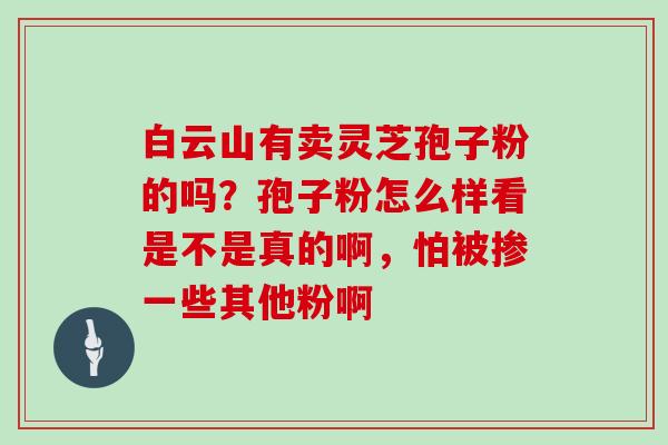 白云山有卖灵芝孢子粉的吗?孢子粉怎么样看是不是真的啊,怕被掺一些其他粉啊-第1张图片-灵芝大师 白云山有卖灵芝孢子粉的吗?孢子粉怎么样看是不是真的啊,怕被掺一些其他粉啊-第1张图片-灵芝大师