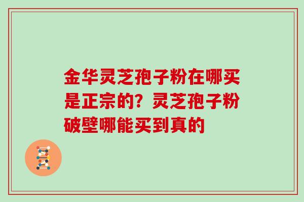金华灵芝孢子粉在哪买是正宗的？灵芝孢子粉破壁哪能买到真的