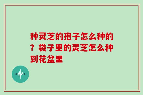 种灵芝的孢子怎么种的?袋子里的灵芝怎么种到花盆里-第1张图片-灵芝大师 种灵芝的孢子怎么种的?袋子里的灵芝怎么种到花盆里-第1张图片-灵芝大师
