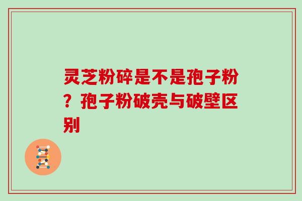灵芝粉碎是不是孢子粉？孢子粉破壳与破壁区别
