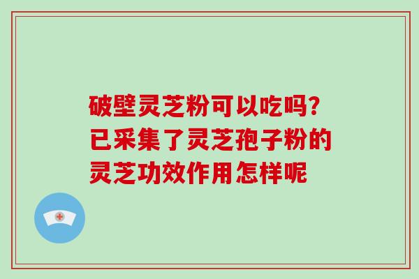 破壁灵芝粉可以吃吗？已采集了灵芝孢子粉的灵芝功效作用怎样呢