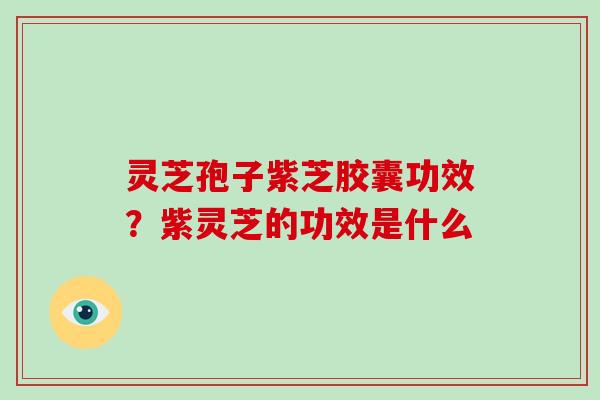 灵芝孢子紫芝胶囊功效？紫灵芝的功效是什么