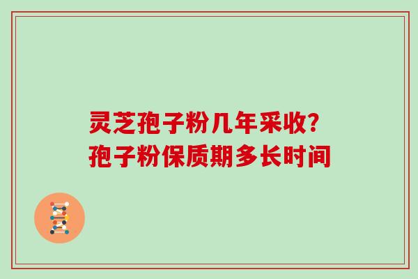 灵芝孢子粉几年采收？孢子粉保质期多长时间-第1张图片-灵芝大师