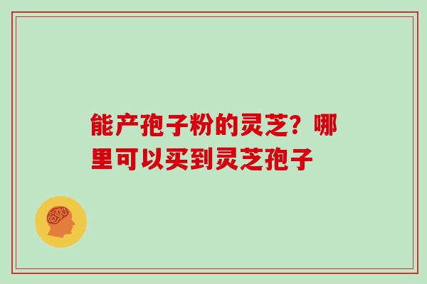 能产孢子粉的灵芝？哪里可以买到灵芝孢子
