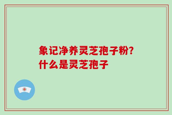象记净养灵芝孢子粉？什么是灵芝孢子