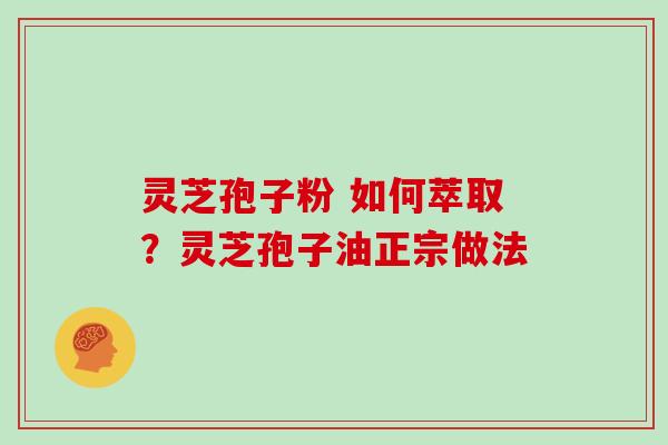 灵芝孢子粉 如何萃取？灵芝孢子油正宗做法