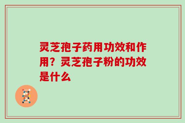 灵芝孢子药用功效和作用?灵芝孢子粉的功效是什么-第1张图片-灵芝大师 灵芝孢子药用功效和作用?灵芝孢子粉的功效是什么-第1张图片-灵芝大师