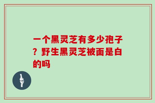 一个黑灵芝有多少孢子？野生黑灵芝被面是白的吗