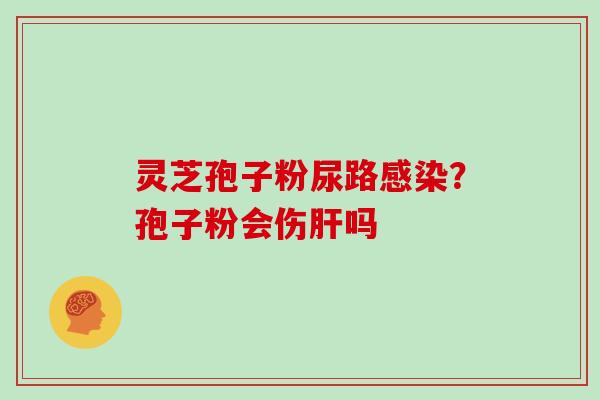 灵芝孢子粉尿路感染？孢子粉会伤肝吗