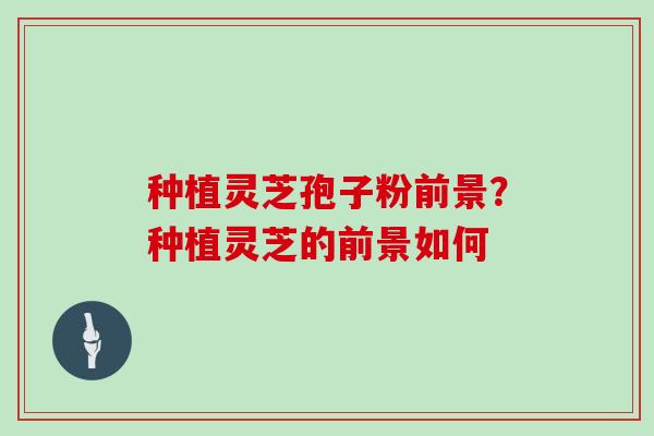 种植灵芝孢子粉前景？种植灵芝的前景如何
