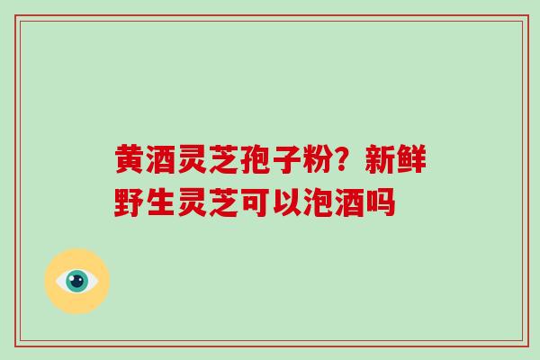 黄酒灵芝孢子粉？新鲜野生灵芝可以泡酒吗