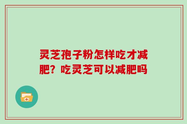 灵芝孢子粉怎样吃才减肥？吃灵芝可以减肥吗