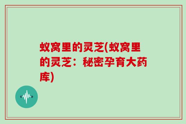 蚁窝里的灵芝(蚁窝里的灵芝：秘密孕育大药库)