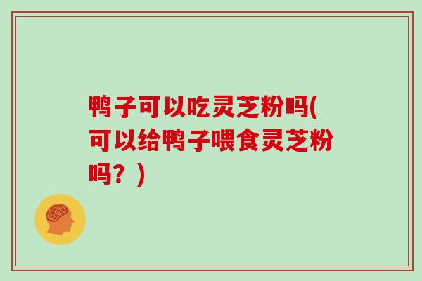 鸭子可以吃灵芝粉吗(可以给鸭子喂食灵芝粉吗？)