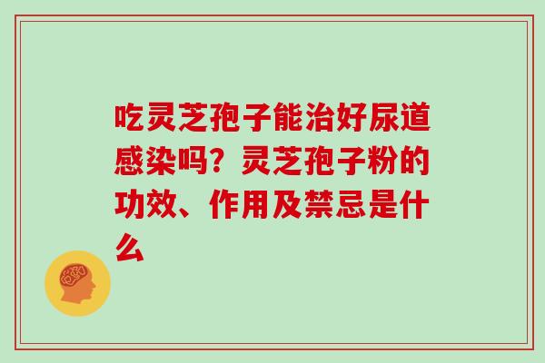 吃灵芝孢子能治好尿道感染吗？灵芝孢子粉的功效、作用及禁忌是什么