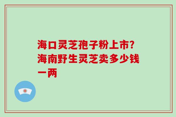 海口灵芝孢子粉上市？海南野生灵芝卖多少钱一两