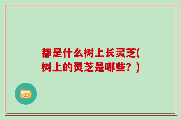 都是什么树上长灵芝(树上的灵芝是哪些？)