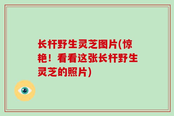 长杆野生灵芝图片(惊艳！看看这张长杆野生灵芝的照片)
