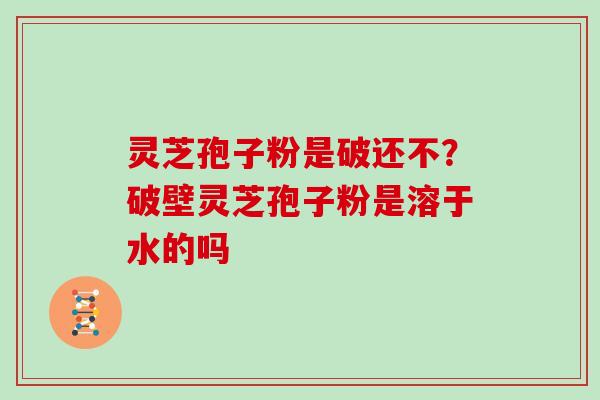 灵芝孢子粉是破还不？破壁灵芝孢子粉是溶于水的吗