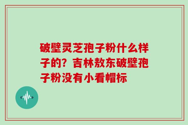 破壁灵芝孢子粉什么样子的？吉林敖东破壁孢子粉没有小看帽标