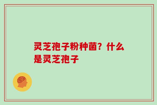 灵芝孢子粉种菌？什么是灵芝孢子
