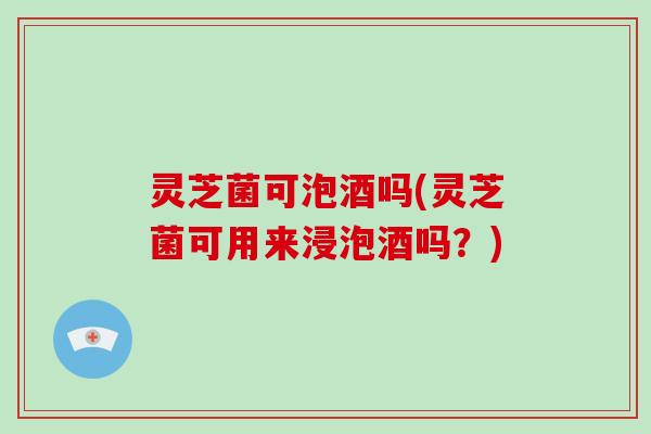 灵芝菌可泡酒吗(灵芝菌可用来浸泡酒吗？)