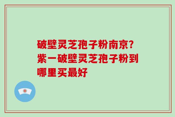 破壁灵芝孢子粉南京？紫一破壁灵芝孢子粉到哪里买最好
