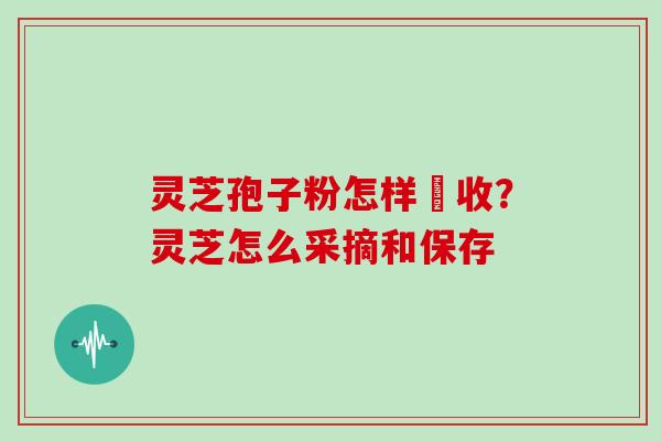 灵芝孢子粉怎样釆收？灵芝怎么采摘和保存