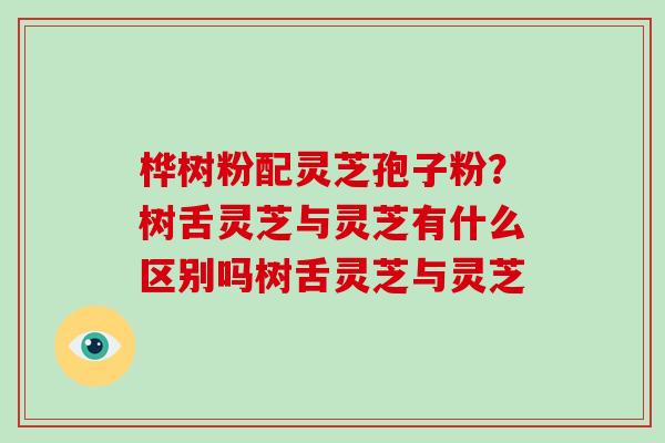 桦树粉配灵芝孢子粉？树舌灵芝与灵芝有什么区别吗树舌灵芝与灵芝