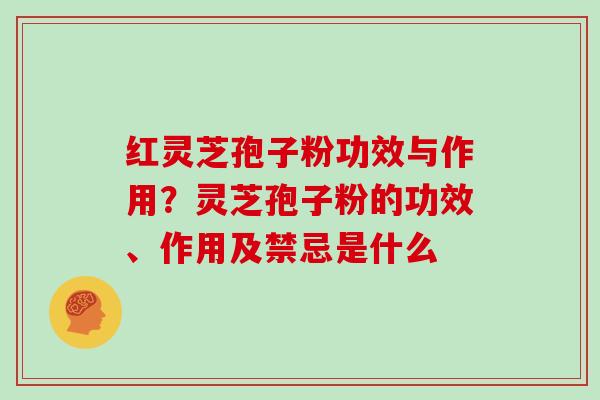 红灵芝孢子粉功效与作用？灵芝孢子粉的功效、作用及禁忌是什么