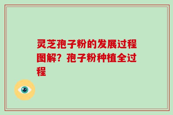 灵芝孢子粉的发展过程图解？孢子粉种植全过程