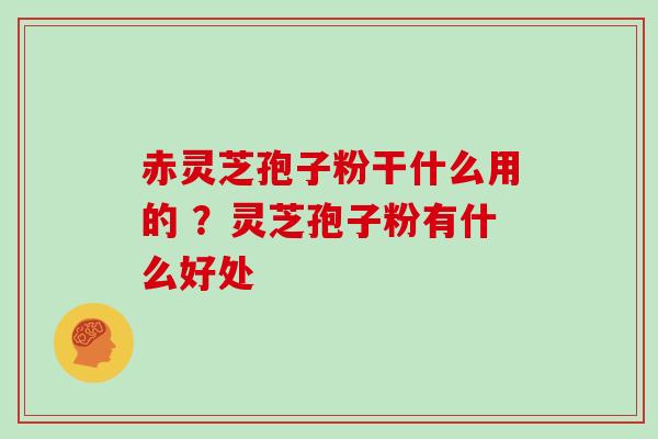 赤灵芝孢子粉干什么用的 ？灵芝孢子粉有什么好处