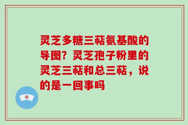 灵芝多糖三萜氨基酸的导图？灵芝孢子粉里的灵芝三萜和总三萜，说的是一回事吗