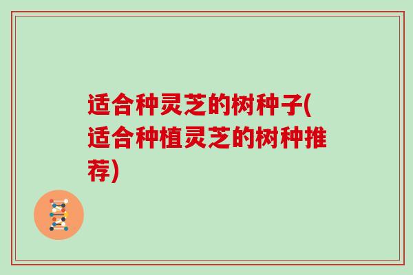 适合种灵芝的树种子(适合种植灵芝的树种推荐)
