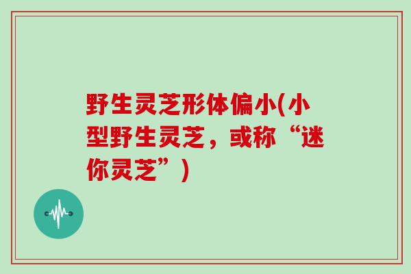 野生灵芝形体偏小(小型野生灵芝，或称“迷你灵芝”)