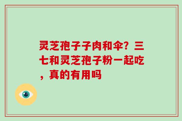 灵芝孢子子肉和伞？三七和灵芝孢子粉一起吃，真的有用吗