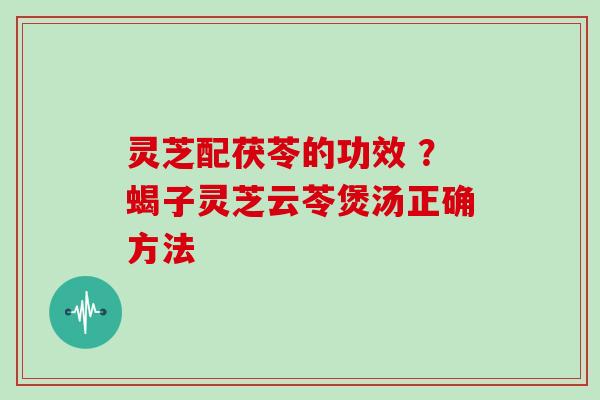 灵芝配茯苓的功效 ？蝎子灵芝云苓煲汤正确方法