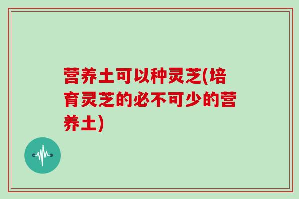 营养土可以种灵芝(培育灵芝的必不可少的营养土)