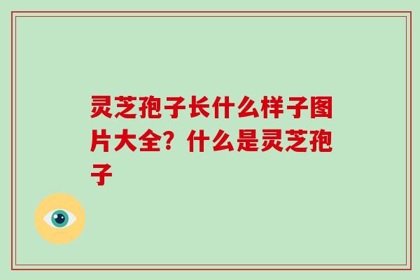 灵芝孢子长什么样子图片大全？什么是灵芝孢子