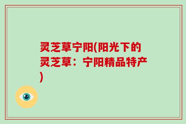 灵芝草宁阳(阳光下的灵芝草：宁阳精品特产)