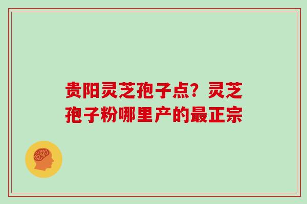 贵阳灵芝孢子点？灵芝孢子粉哪里产的最正宗