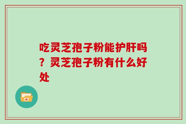 吃灵芝孢子粉能护肝吗？灵芝孢子粉有什么好处