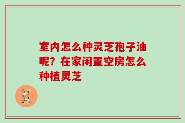室内怎么种灵芝孢子油呢？在家闲置空房怎么种植灵芝