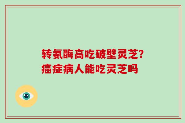 转氨酶高吃破壁灵芝？癌症病人能吃灵芝吗