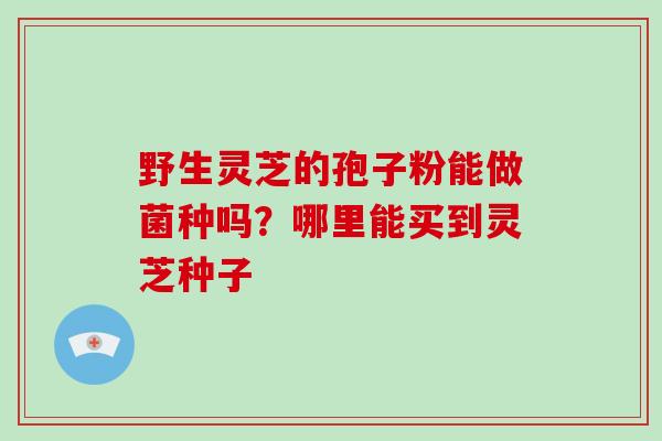 野生灵芝的孢子粉能做菌种吗？哪里能买到灵芝种子