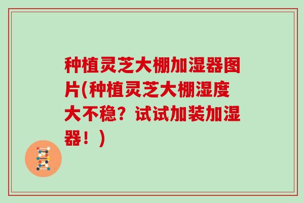 种植灵芝大棚加湿器图片(种植灵芝大棚湿度大不稳？试试加装加湿器！)