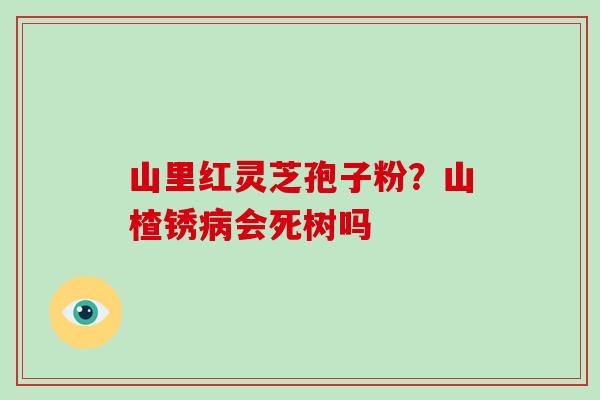 山里红灵芝孢子粉?山楂锈病会死树吗-第1张图片-灵芝大师 山里红灵芝孢子粉?山楂锈病会死树吗-第1张图片-灵芝大师