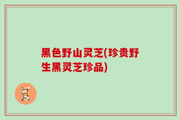 黑色野山灵芝(珍贵野生黑灵芝珍品)