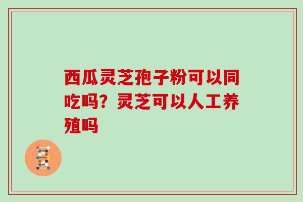 西瓜灵芝孢子粉可以同吃吗？灵芝可以人工养殖吗